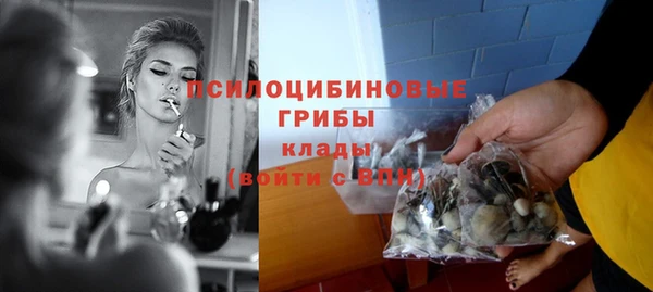 spice Баксан