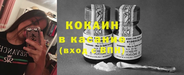 мяу мяу кристалл Арсеньев