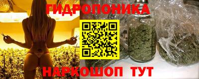 jwh Пенза