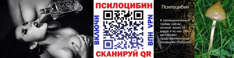 MEGA вход  Родники  Псилоцибиновые грибы мицелий 